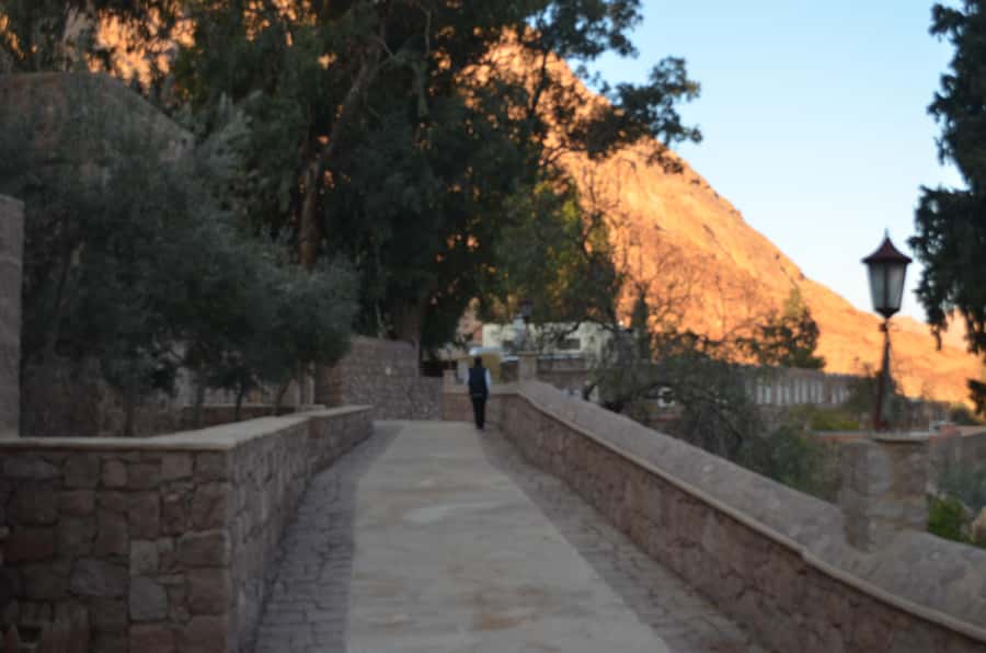 Sharm El Sheikh: Saint Catherine's Monastery Private Tour - Church of the Transfiguration: Byzantine style you can actually spot