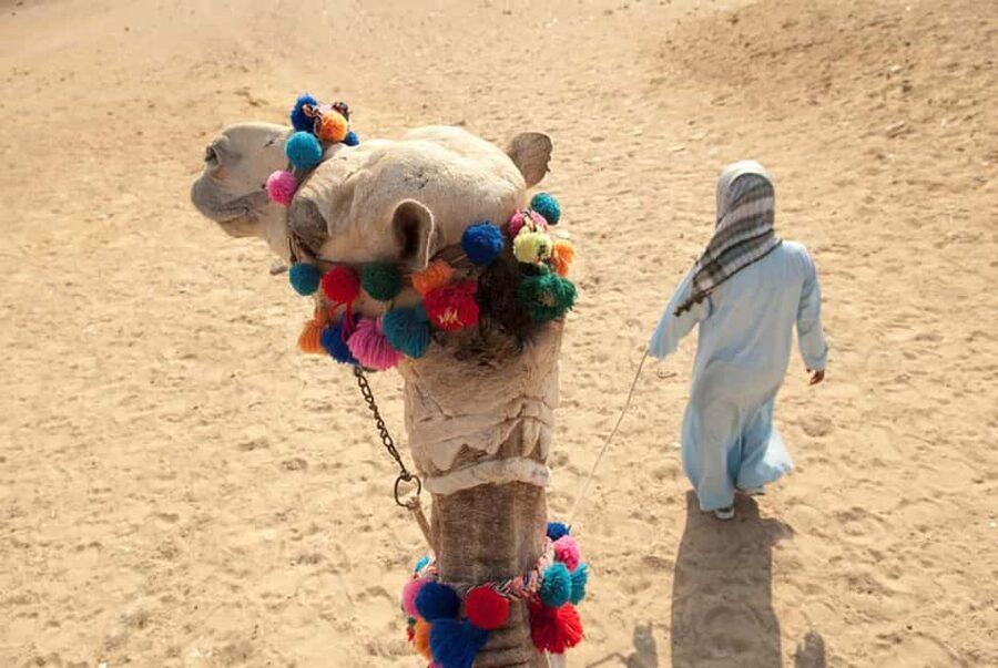 Sharm El-Sheikh: Ultimate ATV Quad, Stargazing & BBQ Dinner - Price and Value: Why $35 Can Be More Than a Discounted Day