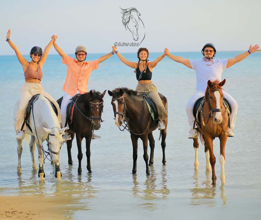 Sharm El Shiekh: Beach and City Desert Horse Riding Tour - Key highlights you will actually care about