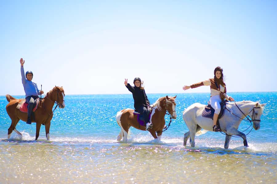 Sharm El Shiekh: Beach and City Desert Horse Riding Tour - Sinai Desert to Beach: What Makes This Horse Ride Special