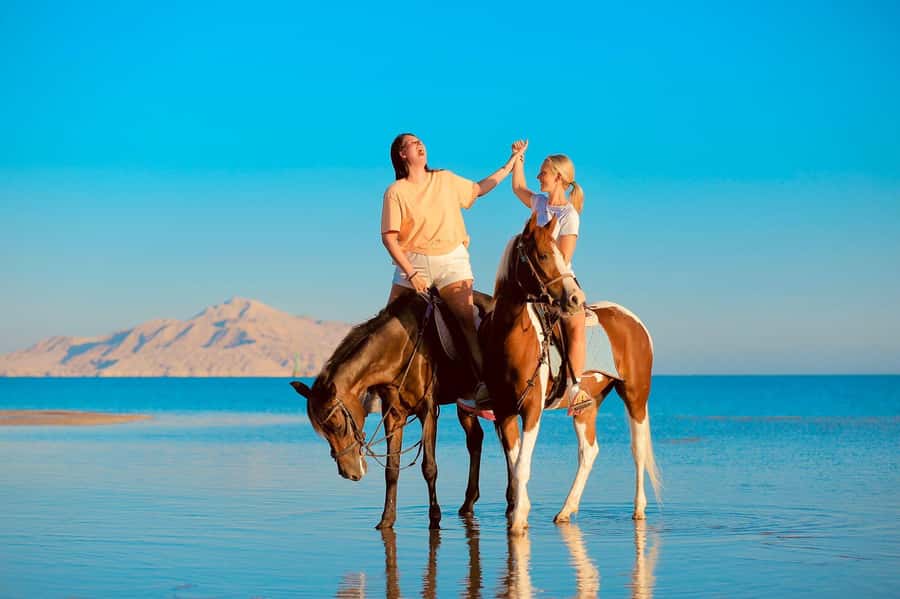 Sharm El Shiekh: Beach and City Desert Horse Riding Tour - The Beach and Red Sea Splash: The Moment You Book For
