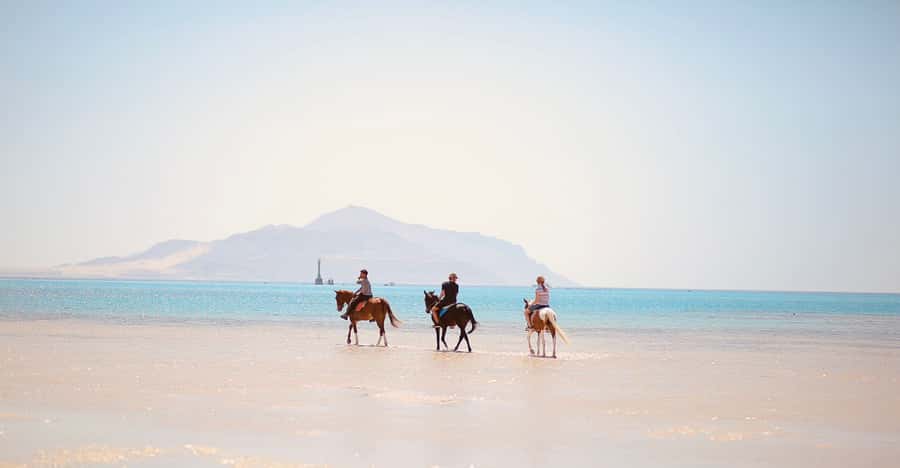 Sharm El Shiekh: Beach and City Desert Horse Riding Tour - Pickup, Timing, and Group Size: The Comfort Factor