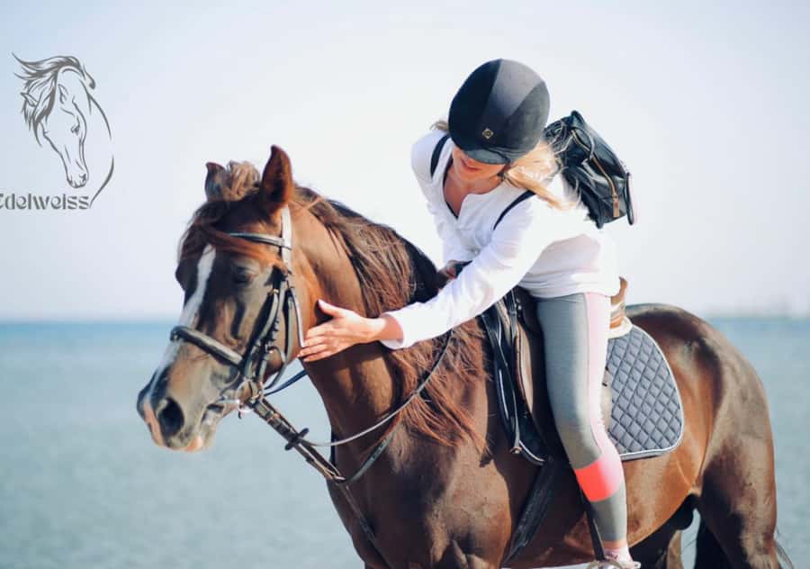 Sharm El Shiekh: Beach and City Desert Horse Riding Tour - Horse Care at Edelweiss: Clean Stables and Calm Mounts