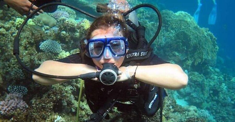 Sharm: Introductory Dive from the Shore & PADI Courses - Key highlights I’d target before you go