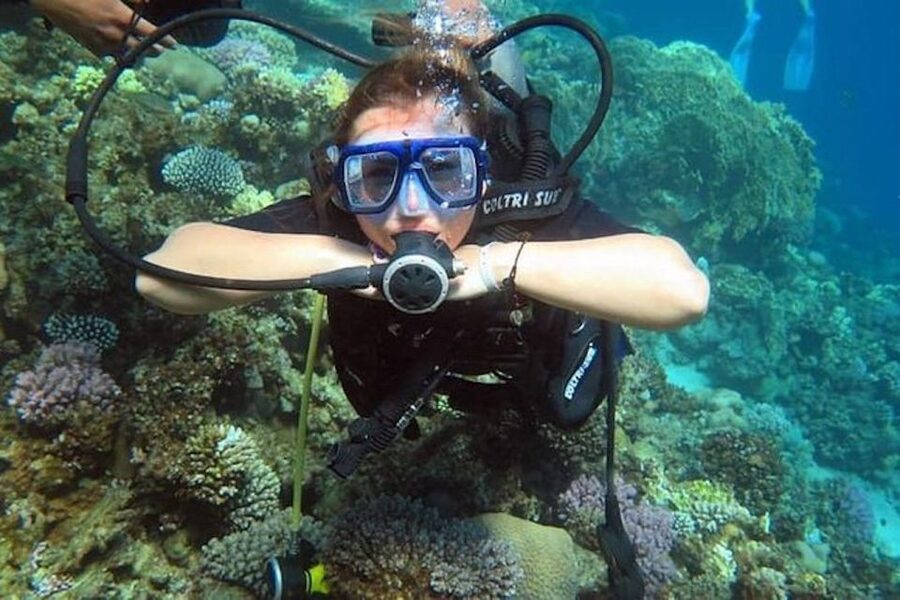 Sharm: Introductory Dive from the Shore & PADI Courses - Sharm shore scuba, made beginner-simple