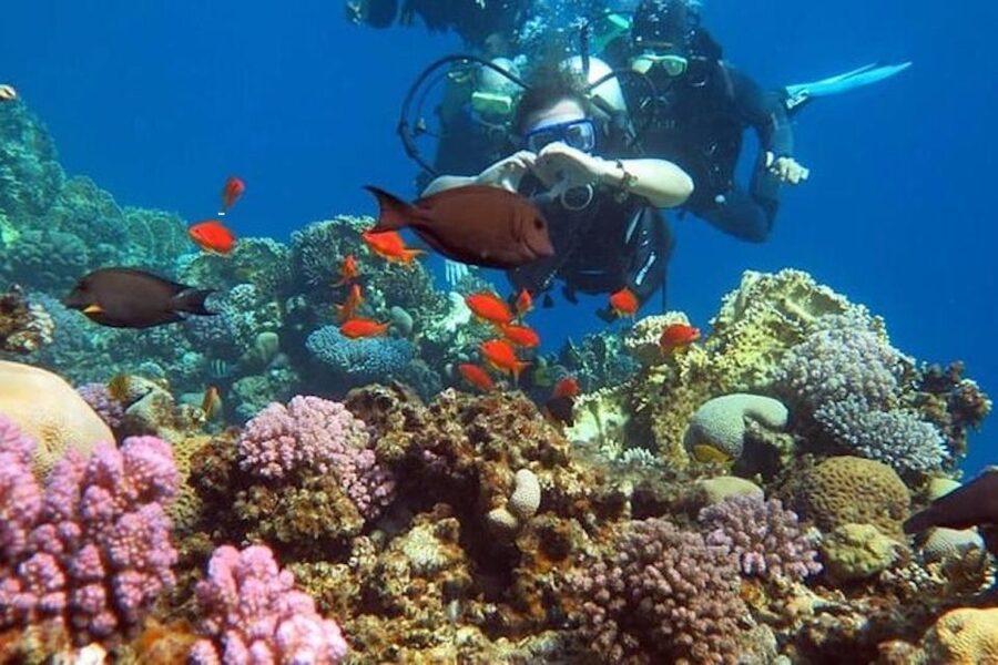 Sharm: Introductory Dive from the Shore & PADI Courses - Your instructors and the languages that keep you calm