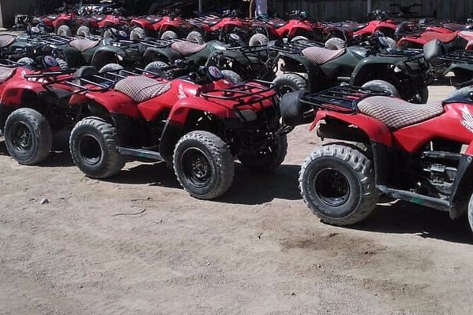 Sharm: Quad Bike or Car Buggy, Camel ride & optional VIP Bedouin Dinner & Show - VIP dinner and shows in the Bedouin camp: is it worth the upgrade?