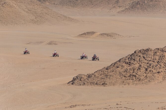Sharm: Quad Bike or Car Buggy, Camel ride & optional VIP Bedouin Dinner & Show - Guides, crowd size, and the safety reality check