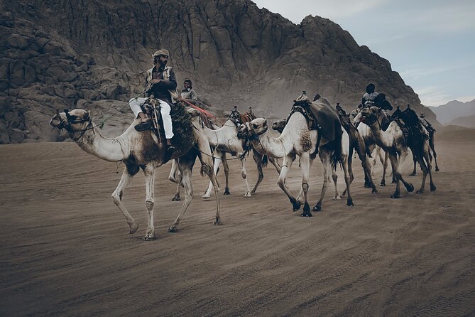 Sharm: Quad Bike or Car Buggy, Camel ride & optional VIP Bedouin Dinner & Show - Getting there from your hotel: pickup timing and how long it really takes