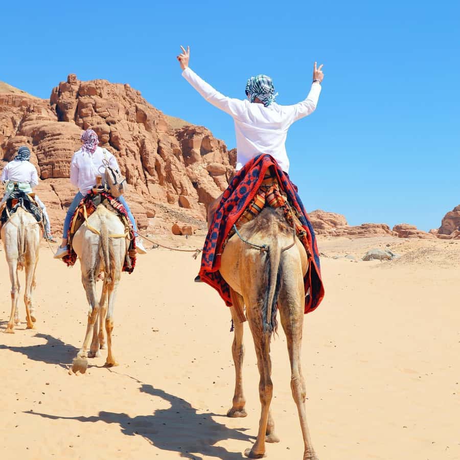 Sharm: Water Sports Adventure Day with Hotel Transfer - Key Highlights at a Glance