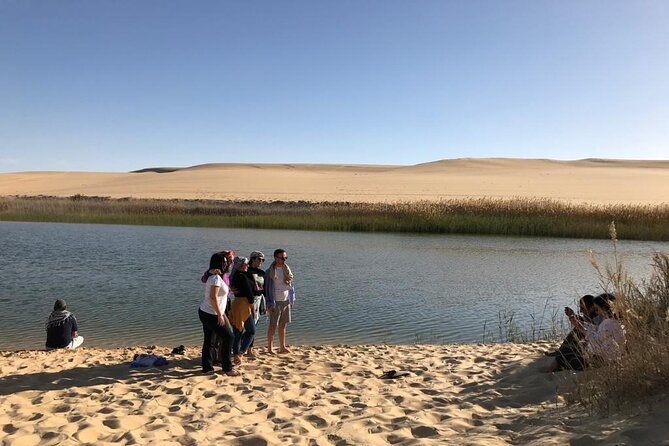 Siwa Oasis Tour 3 Day 2 Nights from Cairo - Siwa Oasis in 3 days, without the logistics headache
