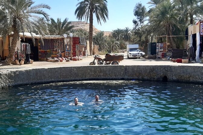 Siwa Oasis Tour 3 Day 2 Nights from Cairo - Meals, entrances, and why “full-board” matters here