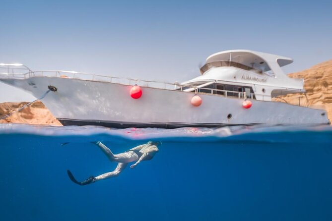 Snorkeling Day Trip to White Island and Ras Mohamed from Sharm - Who should book this trip, and who should skip it