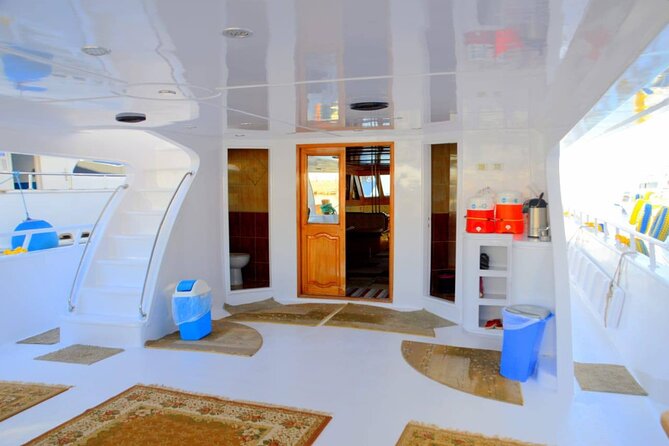 Snorkeling Day Trip To White Island And Ras Mohammed By VIP Boat - Key things to know before you go