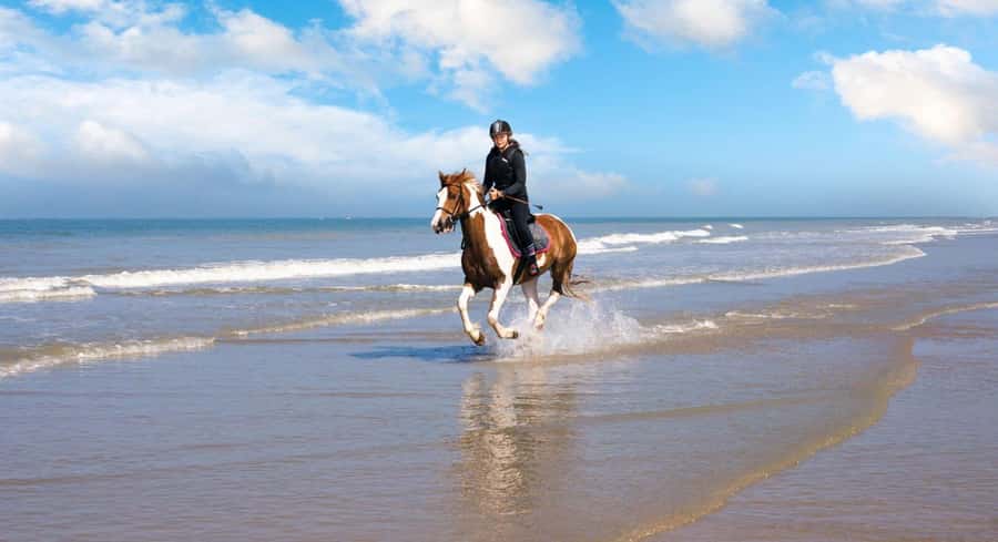Soma Bay: Horse Riding Beach and Desert Tour With Transfer - How Soma Bay turns a simple ride into two different landscapes
