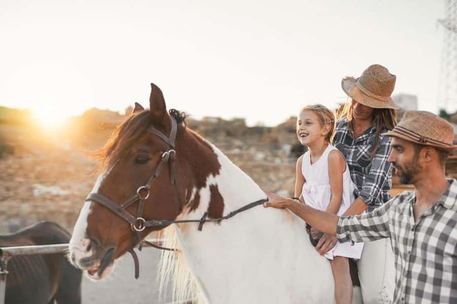 Soma Bay: Horse Riding Beach and Desert Tour With Transfer - Meet your horse: the part that makes or breaks your experience