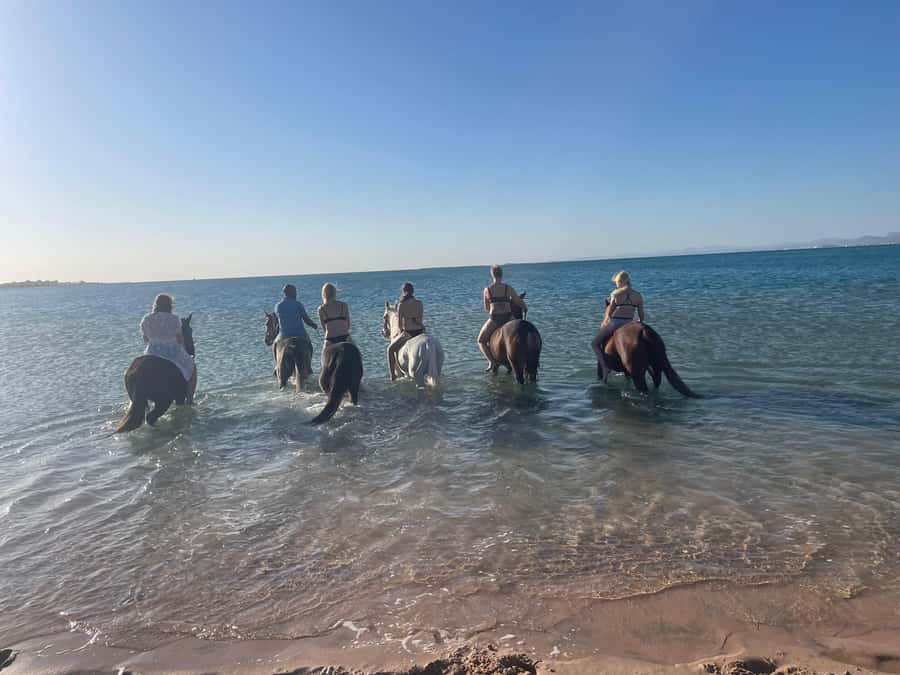 Soma Bay: Horse Riding Beach and Desert Tour With Transfer - The beach segment: Red Sea air, turquoise views, and an easy rhythm