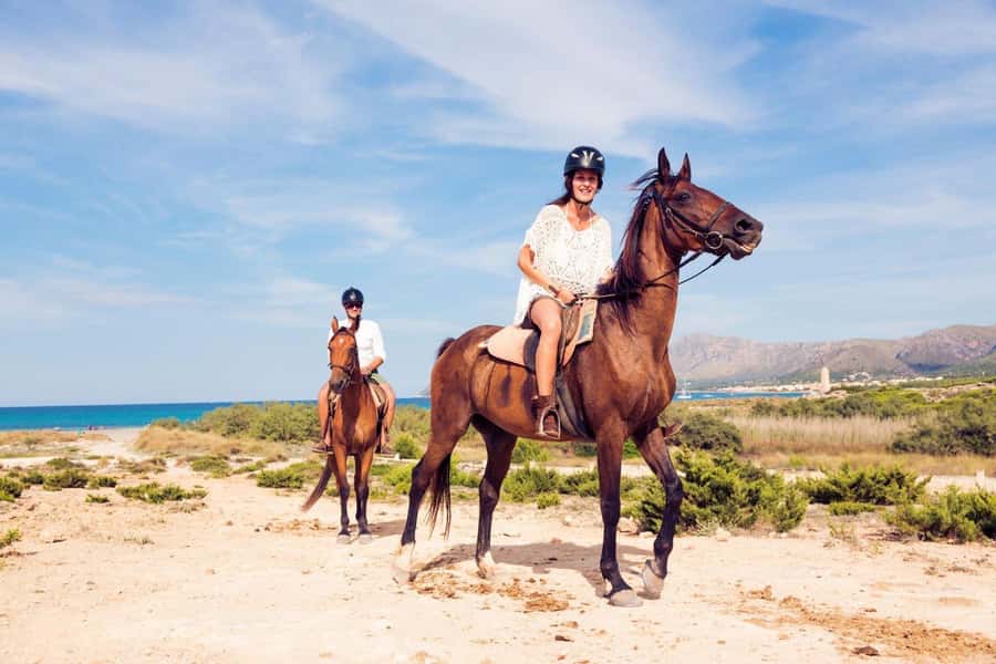 Soma Bay: Horse Riding Beach and Desert Tour With Transfer - Guides, comfort breaks, and why the small details matter