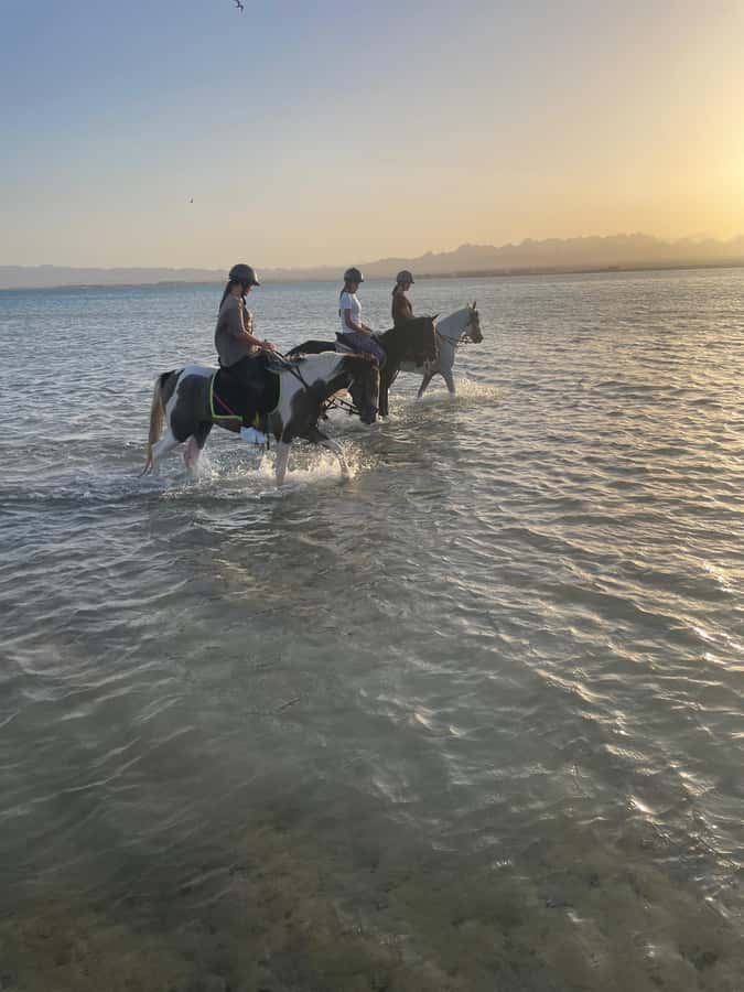 Soma Bay: Horse Riding Beach and Desert Tour With Transfer - What to pack and wear so the ride feels good