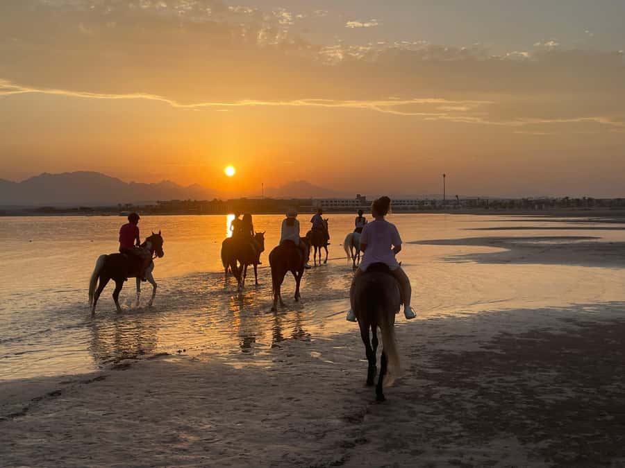 Soma Bay: Horse Riding Beach and Desert Tour With Transfer - Who this tour fits best