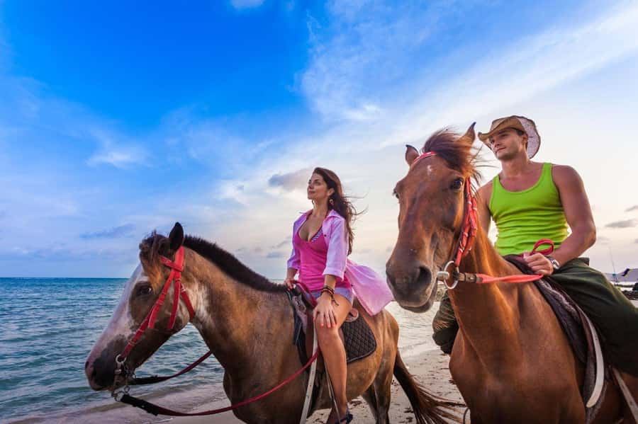 Soma Bay: Horse Riding Beach and Desert Tour With Transfer - Getting picked up and arriving at the equestrian center