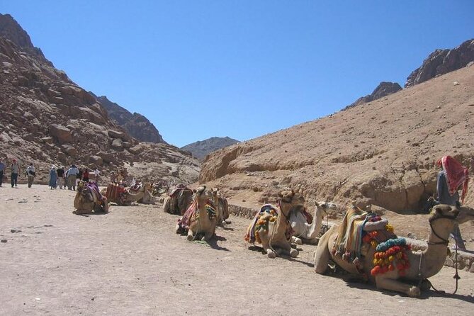 St Catherine Monastery and Mt Sinai Sunrise Tour from Dahab - Why This Mount Sinai and St. Catherine’s Trip Works From Dahab