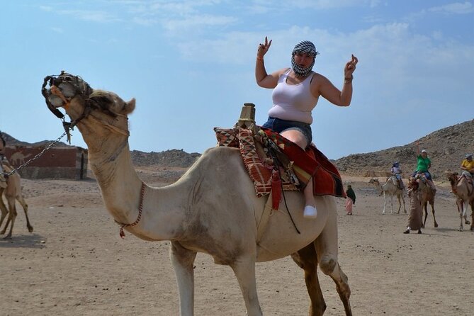 Stargazing Safari Adventure by Jeep with Bedouin Dinner-Hurghada - Camel Ride and the Horse Ride Question