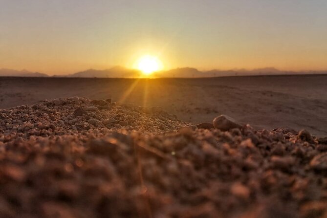 Super Safari ATV, Drive Buggy, Camel Ride, Dinner & Show-Hurghada - Key highlights to look for