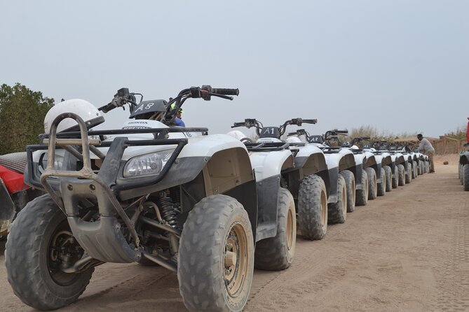 Super Safari ATV, Drive Buggy Car, Camel Ride, Bedouin Dinner, Show-Hurghada - Bedouin life and the desert pharmacy: what this stop gives you