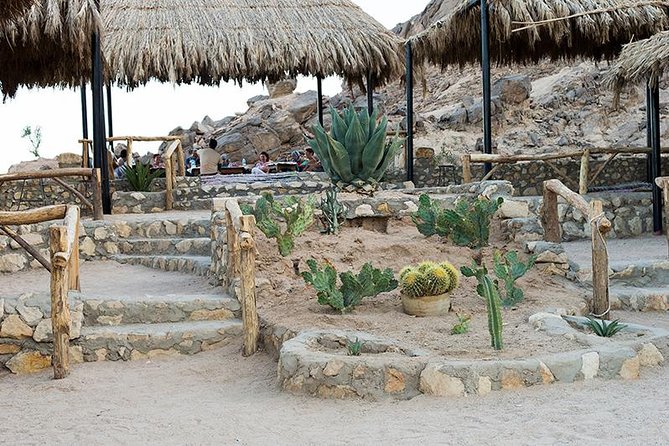 Super Safari, ATV & Sunset, Camel Ride With Dinner - Marsa Alam - Sunset barbecue dinner and the full dance show lineup