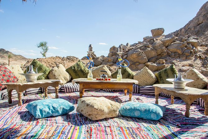 Super Safari, ATV & Sunset, Camel Ride With Dinner - Marsa Alam - Price, extra cash fees, and the real value in this deal