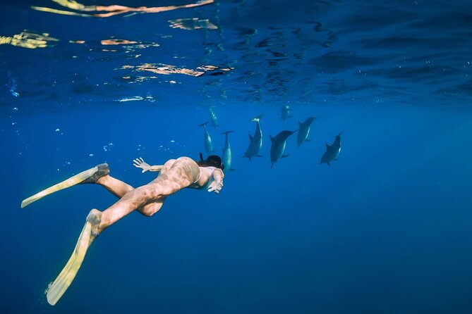 Swimming With Dolphin in Red Sea Adventure with Lunch - Hurgada - Transfers and the real cost: why the $5 price needs context