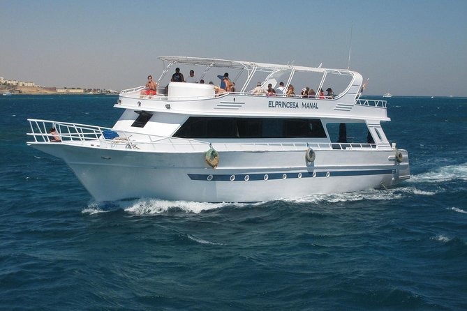 Swimming with Dolphin VIP Snorkeling Sea Trip With Lunch and Transfer - Hurghada - Lunch on Board: When the Reef Day Needs Fuel