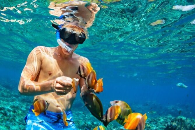 Tiran Island Snorkeling Excursion - Tiran Island vs Ras Mohamed: choosing your reef, and the park fee reality