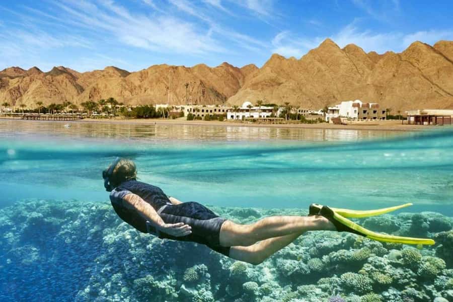 Top Day Tour To Red Sea El Ain Sokhna From Cairo - Dolphin Resort Day Use: Check In, Change, Settle on the Beach