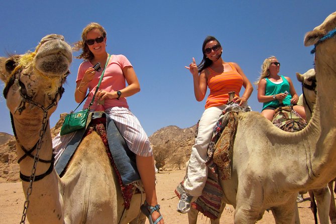 Tour to the Pyramids, Egyptian Museum and Local Bazaar from Cairo - Price and logistics: what $40 covers, and what to budget for