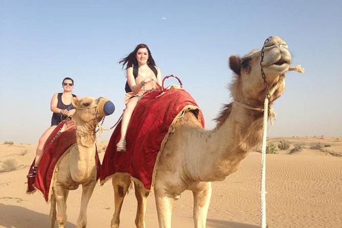 Trip Giza Pyramids, Egyptian Museum, Market,, camel Ride - Private vehicle pickup and the value of an organized schedule