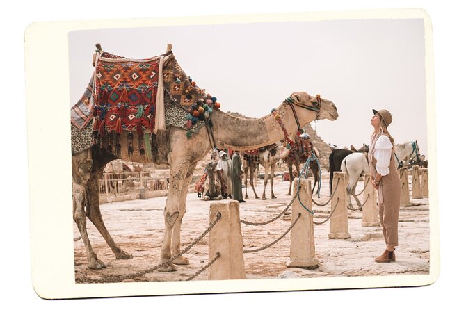 VIP All inclusive Best of Giza Pyramids, Sphinx, Sakkara, Memphis - Great Sphinx and Valley Temple: what to expect in about an hour