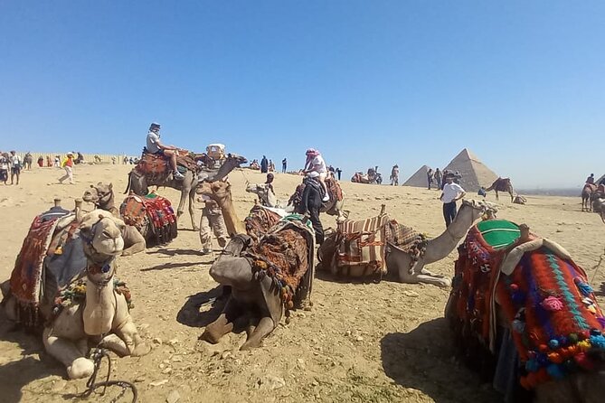 Vip Top Private Tour to Giza Pyramids and Sphinx with camel ride - Private, AC comfort to Giza, without the group stress